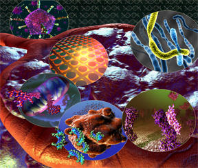 Cancer and Biomarkers Illustration