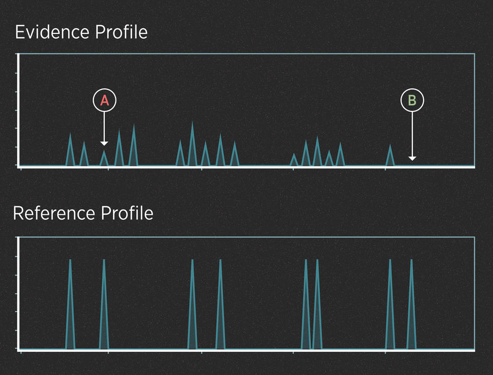 Two series of peaks on a black background, one labeled, “Evidence Profile,” and the other labeled, “Reference Profile.”