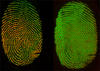 Chemical imaging of a fingerprint 