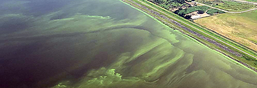 Image: aerial photograph of algal bloom. Photo by USGS