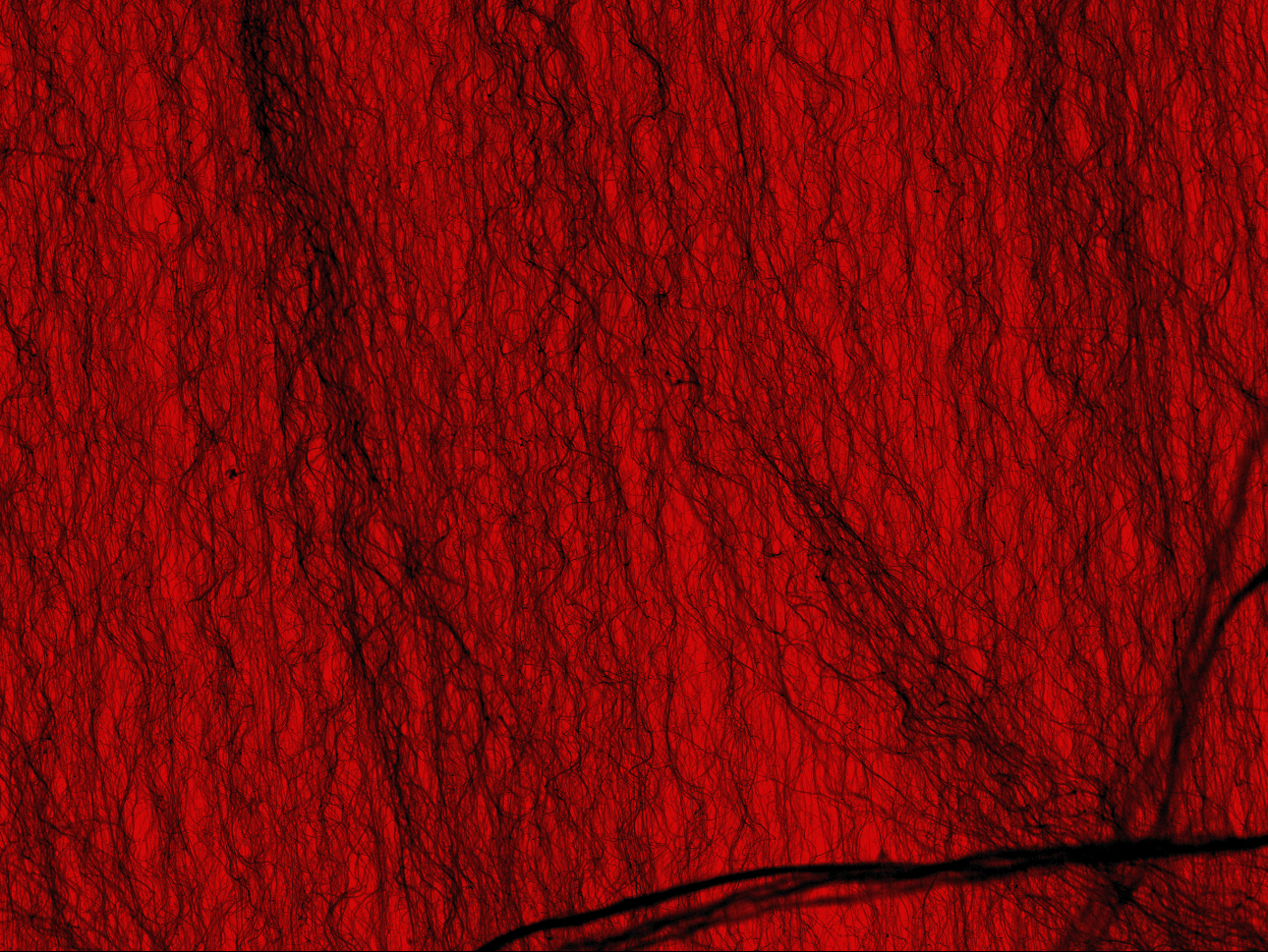Premium AI Image  Dark red background with uneven spots and vignetting  crumpled thick paper texture blood red color da