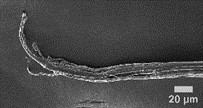 SEM micrograph of the failure surface