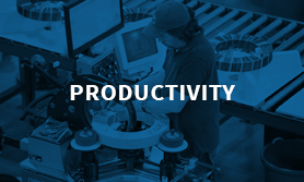 Productivity Reports