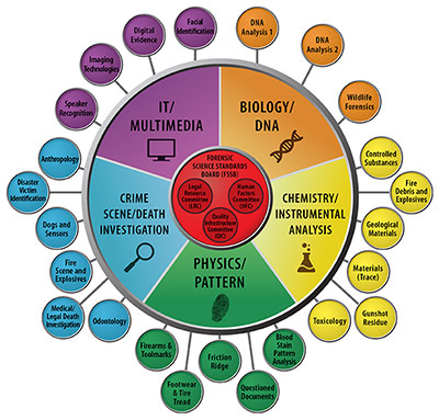 Academic Disciplines Chart