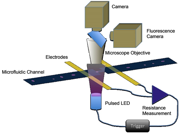 Optical/electrical particle measurement system NIST
