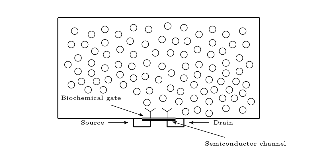 black and white illustration showing a number of circles in a box. At the bottom are two smaller boxes marked source and drain. There is a biochemical gate between them and below that is a semiconductor channel. 