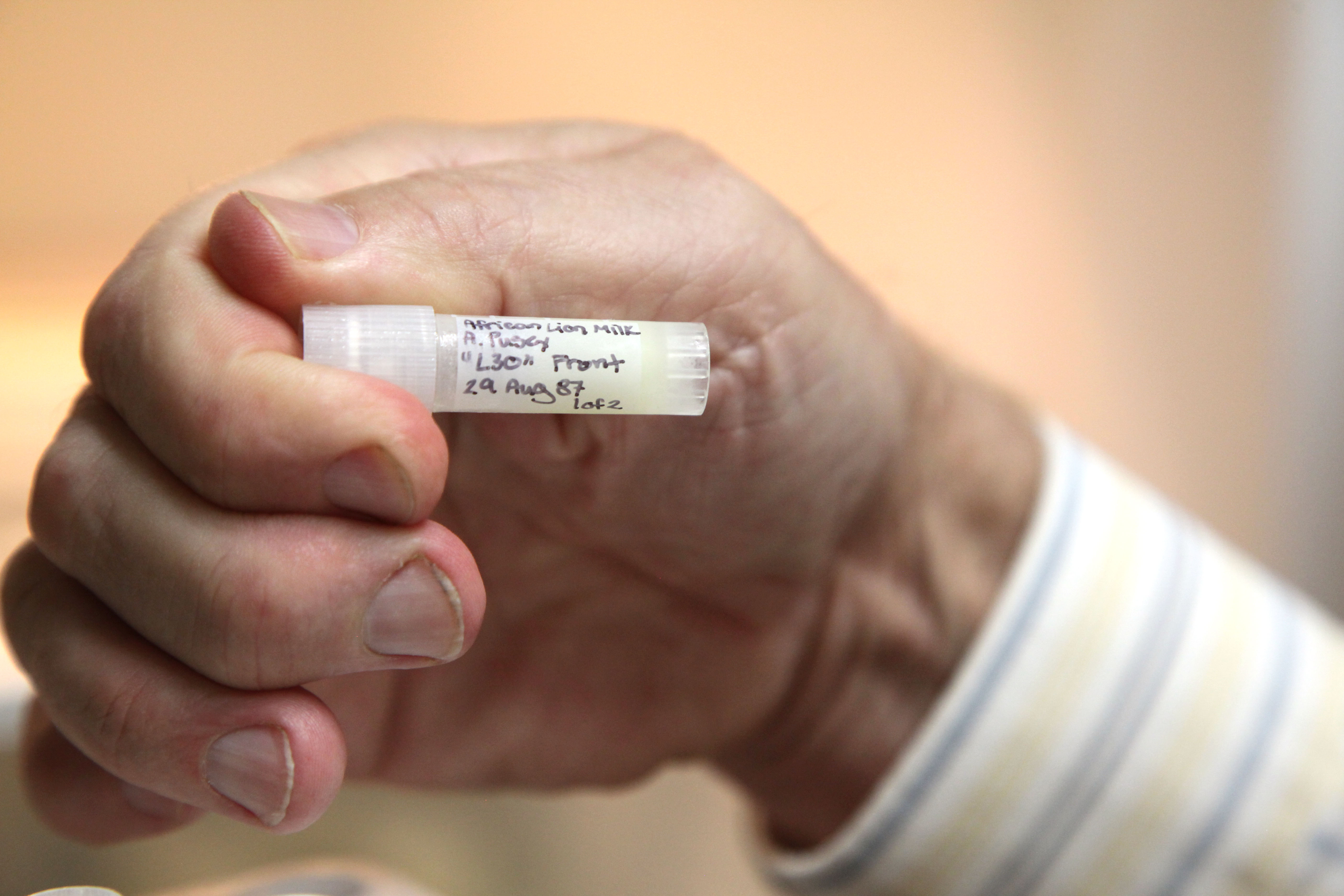 close up of vial of lion's milk