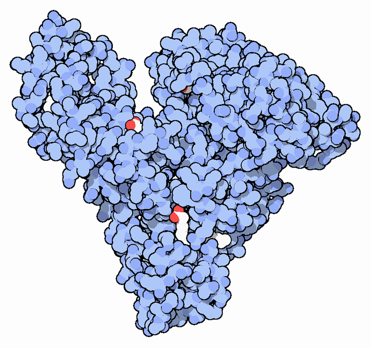 Gambar Human Serum Albumin - NIST