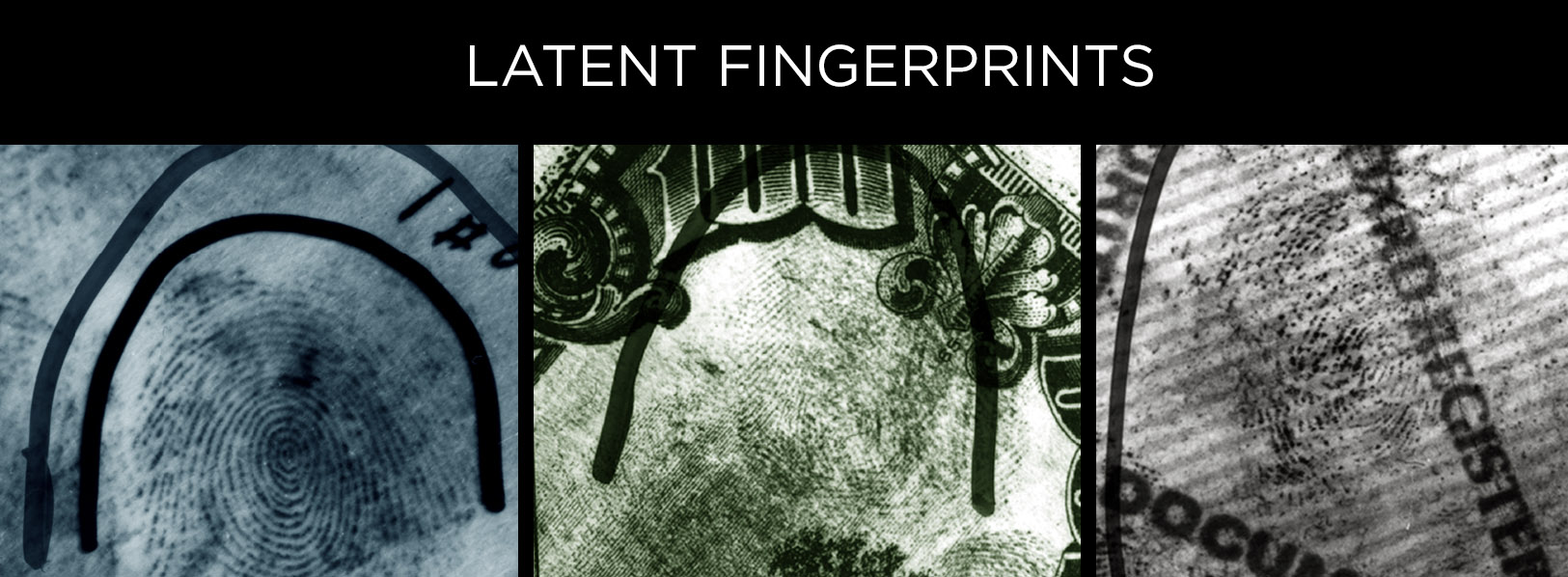 scientists automate key step in forensic fingerprint budget planning chart