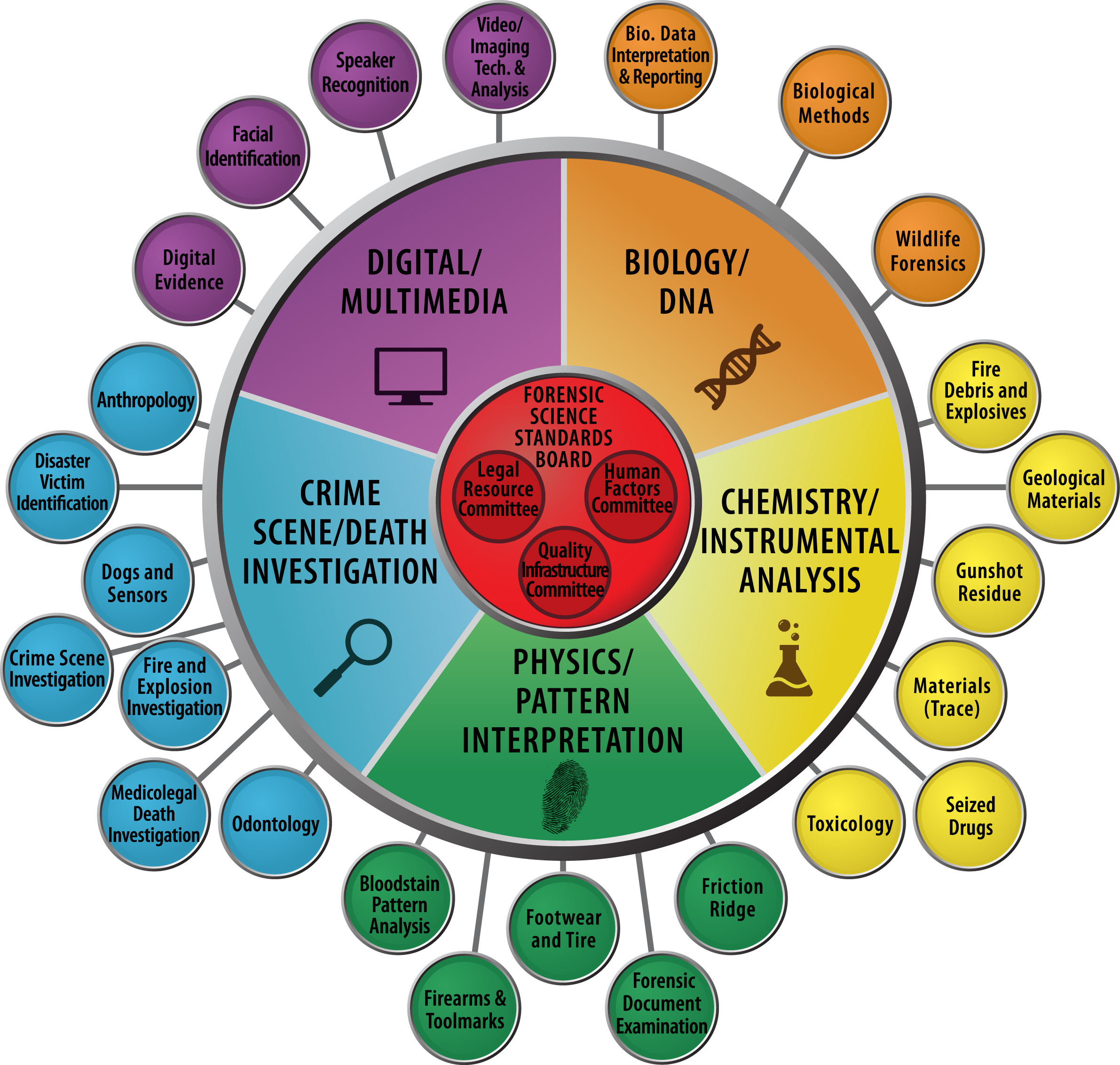 Forensic Scientist Characteristics Chart