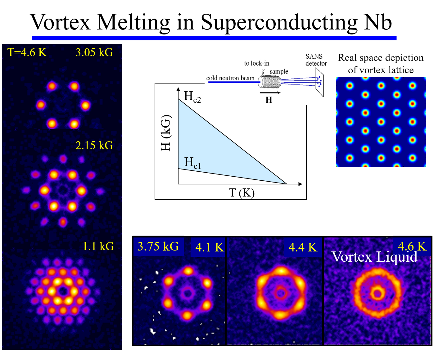 Niobium Vortex Lattice