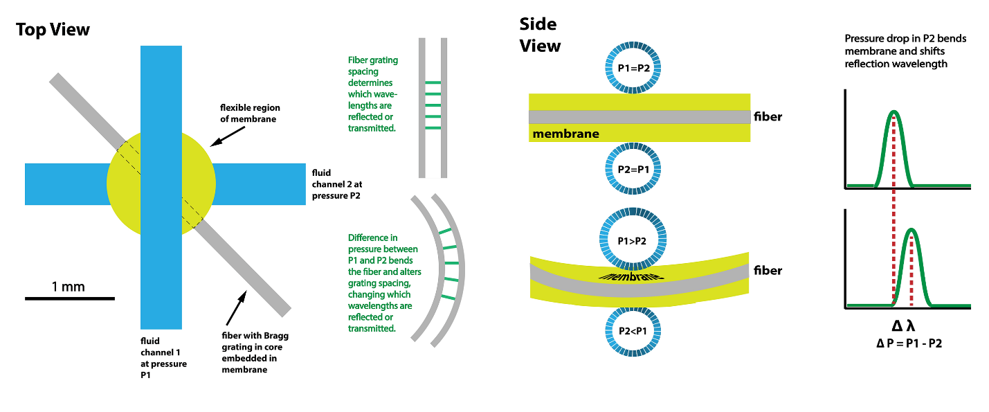 Blue and green diagrams show the top and side view of the optofluidic flow meter.