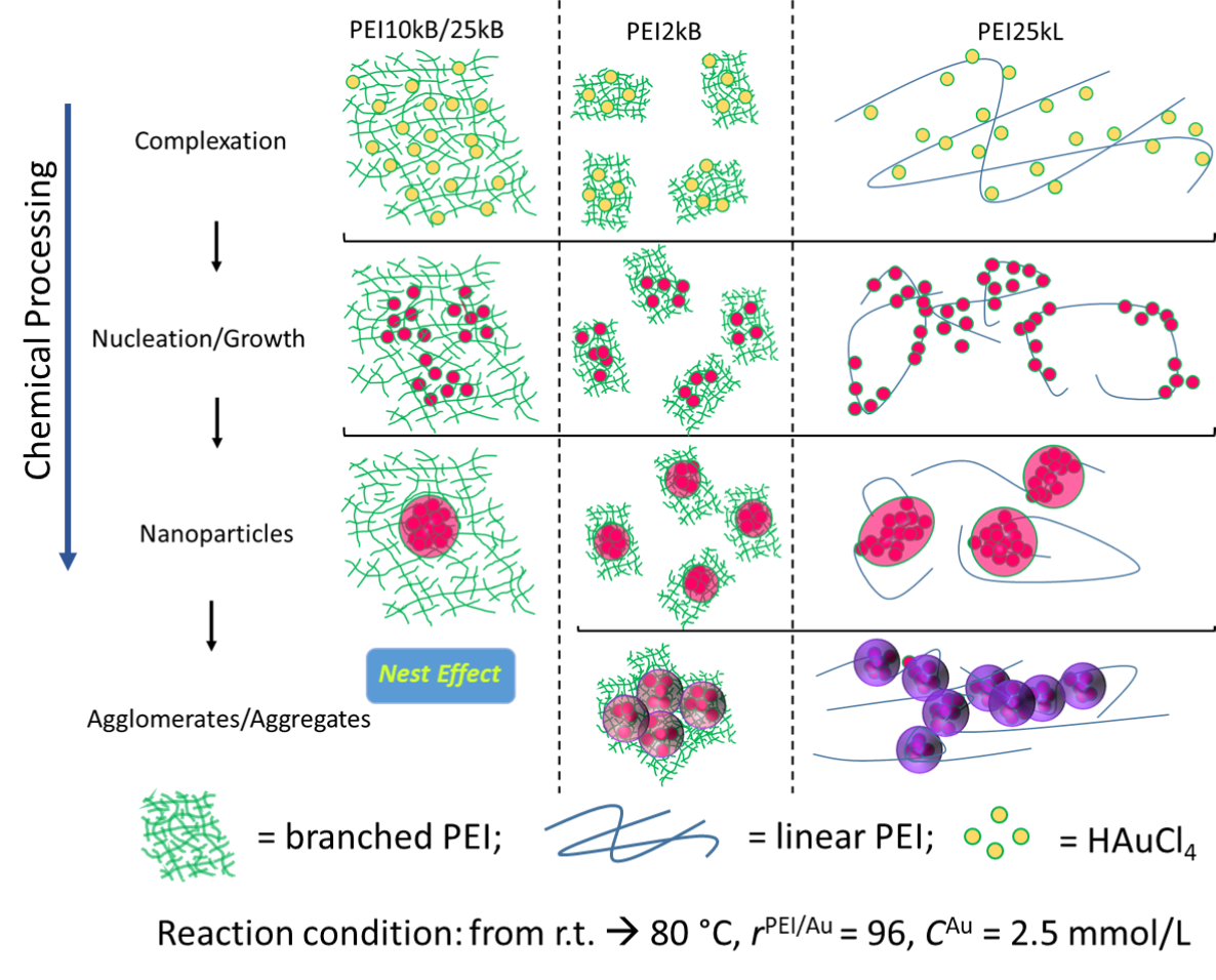 graphical abstract processing nanoparticles