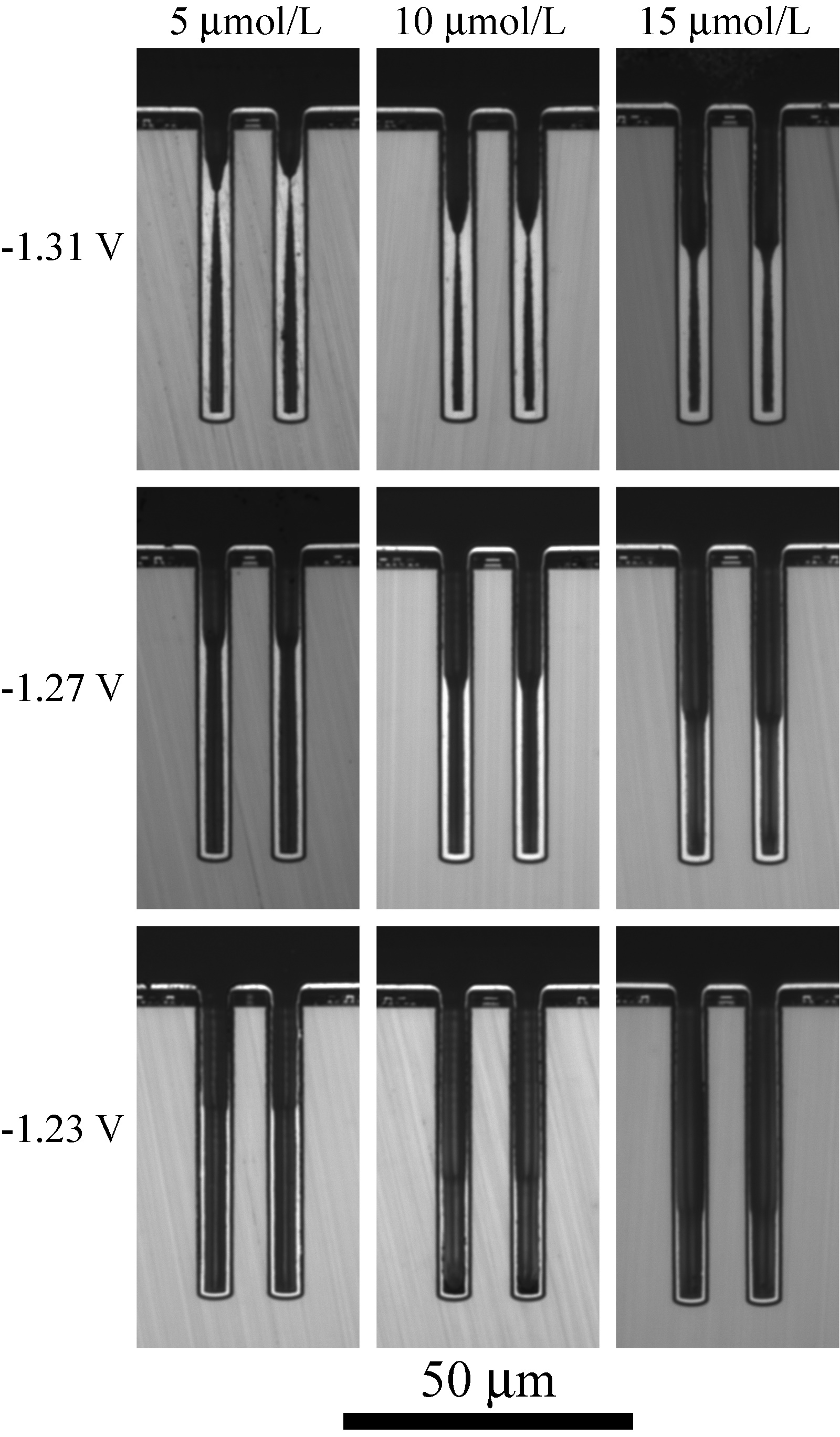 Line drawings for Superconformal Nickel Deposition for Hole Filling