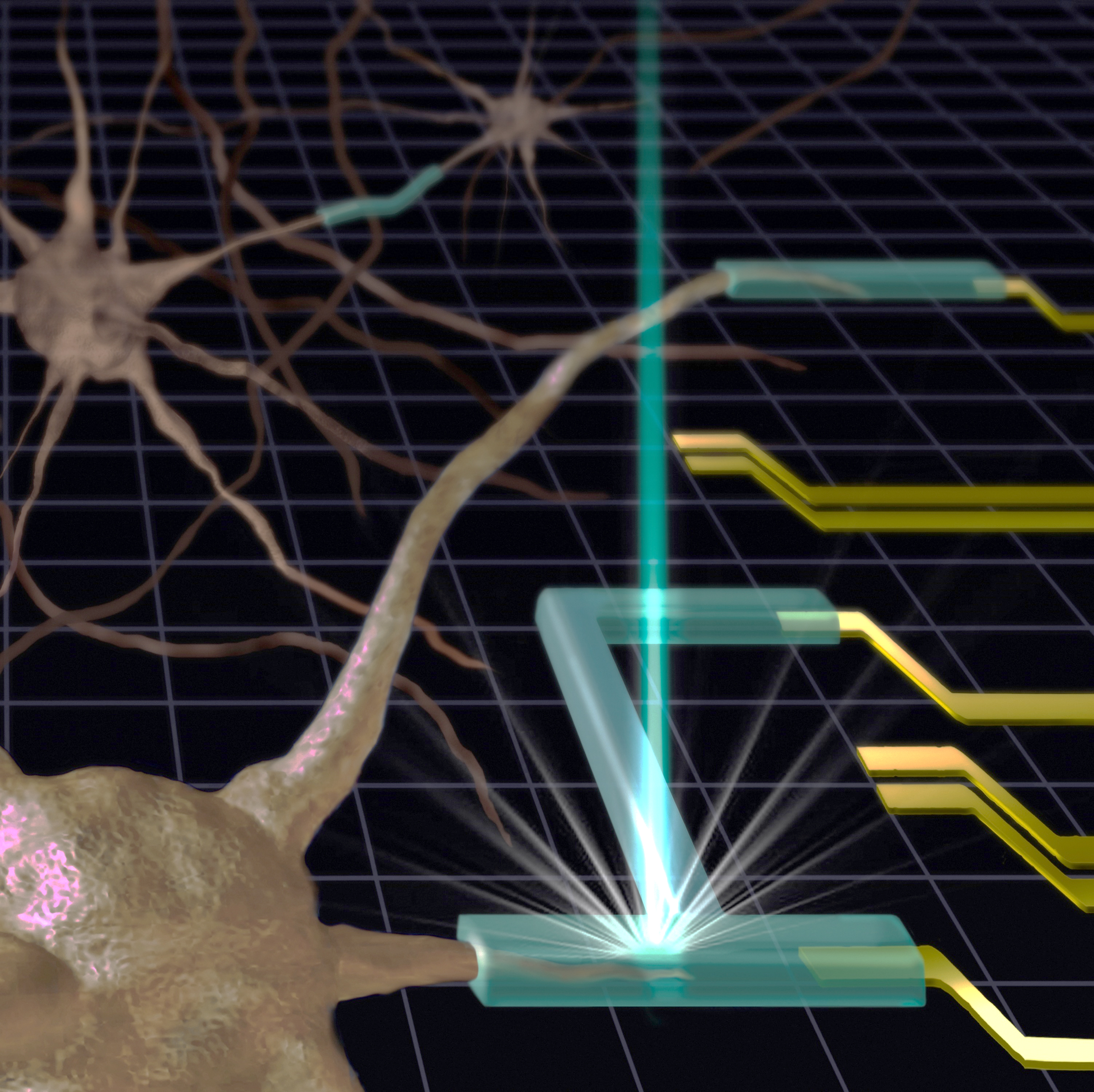 NIST Scientists Get Soft on 3D Printing