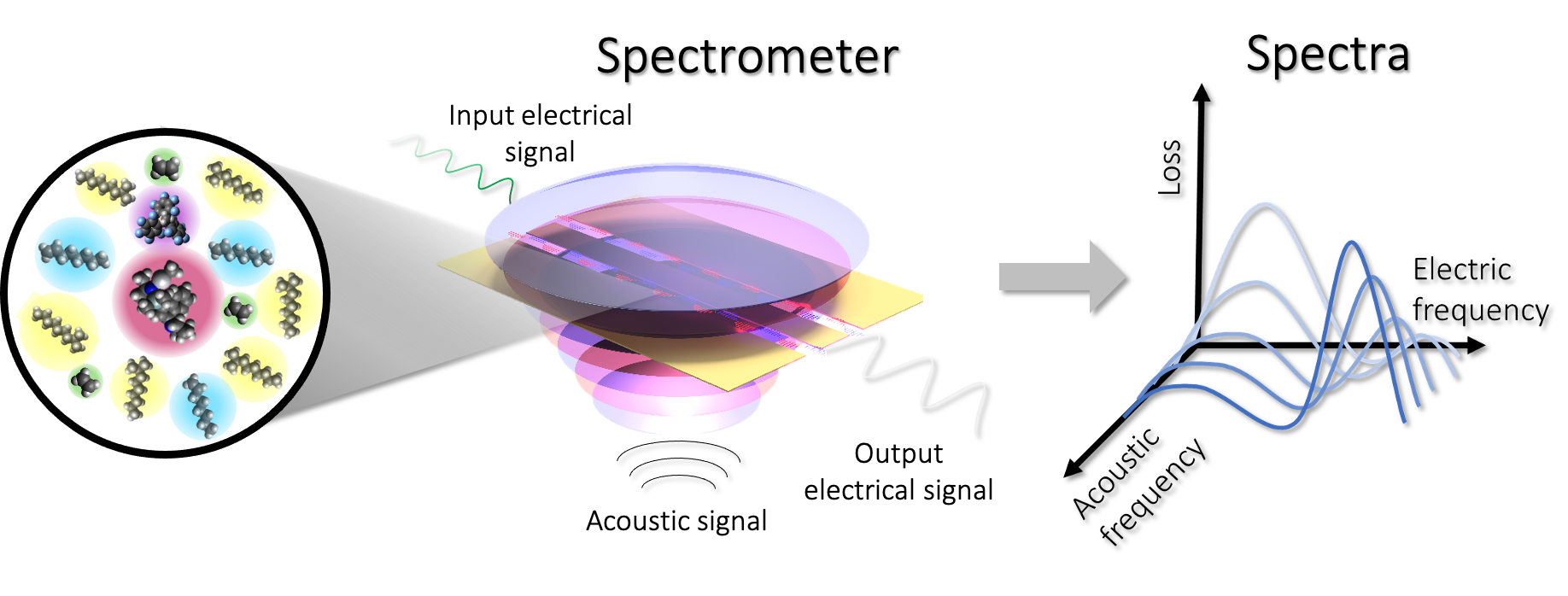 Electric-acoustic spectroscopy project