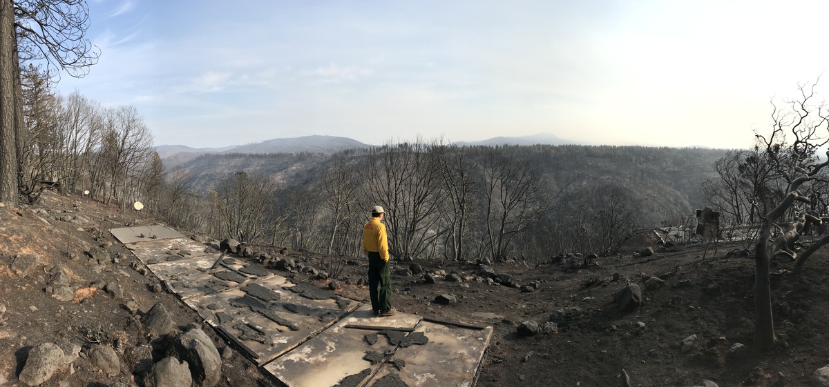 A researcher standing on recently burned terrain. 