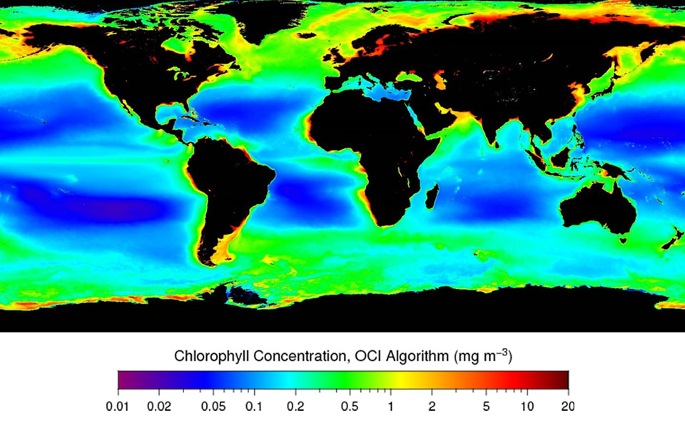 Monitoring the Oceans' Color for Clues to Climate Change - Vimarsana News