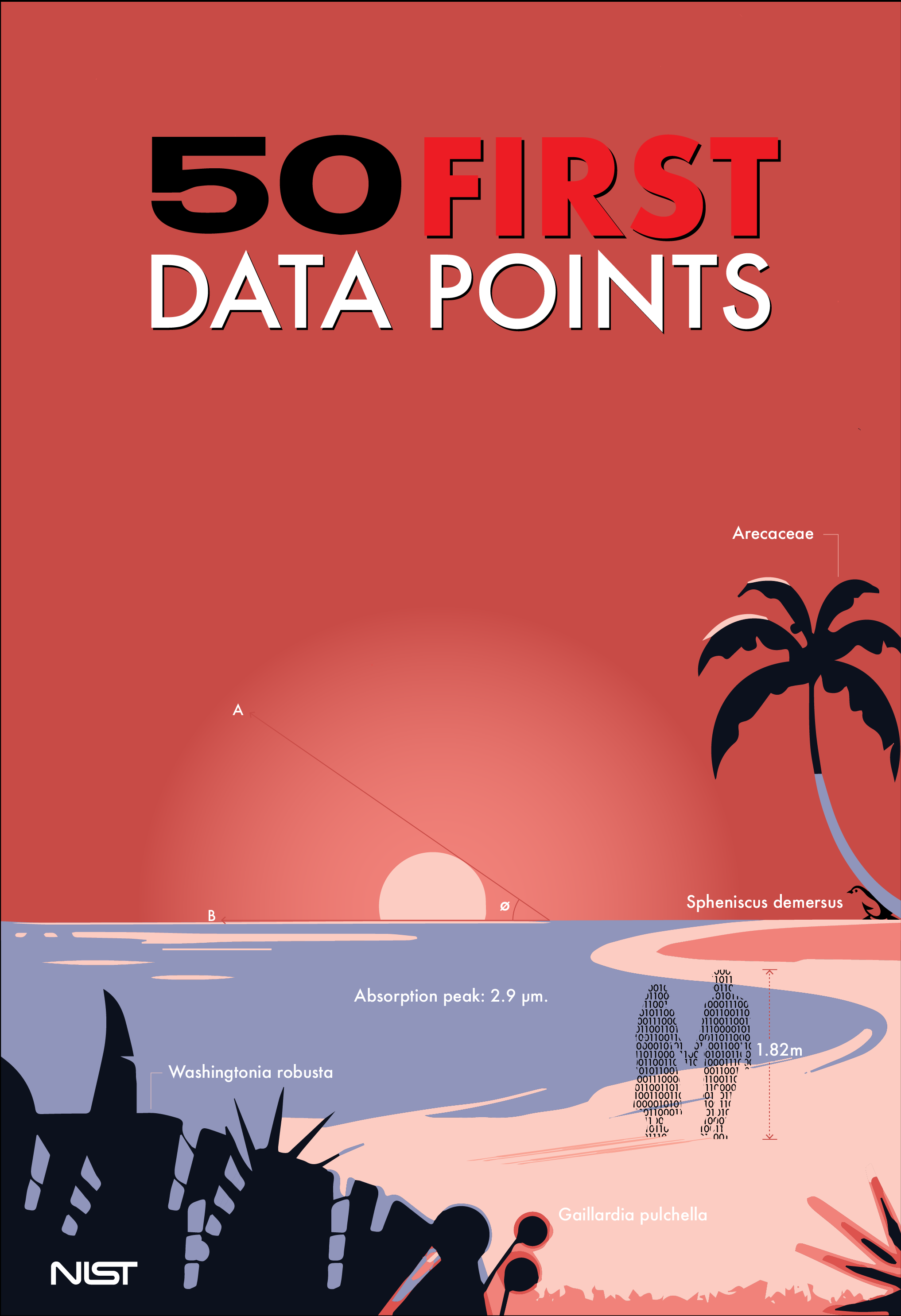 Pink sky. Top: 50 First Data Points. Island. Faint background of people walking. Palm tree. Setting sun. Penguin. Plants. Measurements around all objects