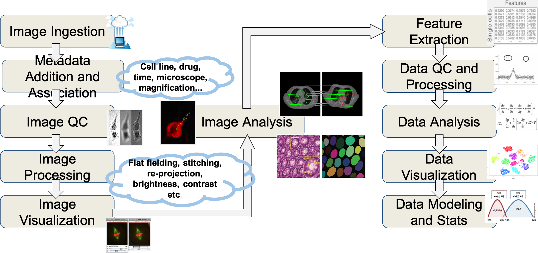 WIPP Image Analysis