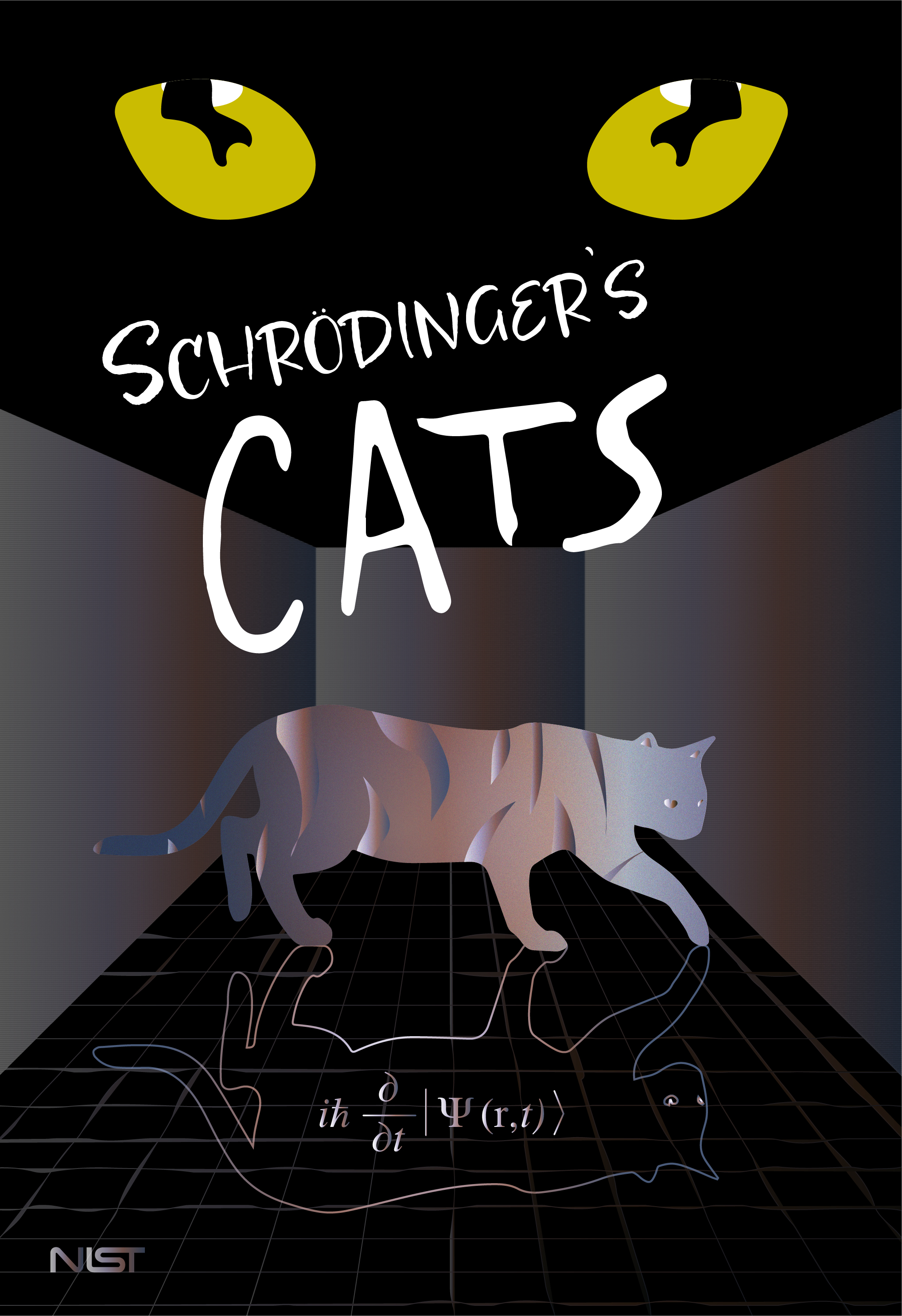 Cat eyes. Words: Schrodinger's Cats. Cat body. Reflection of cat body with a mathematical equation in it