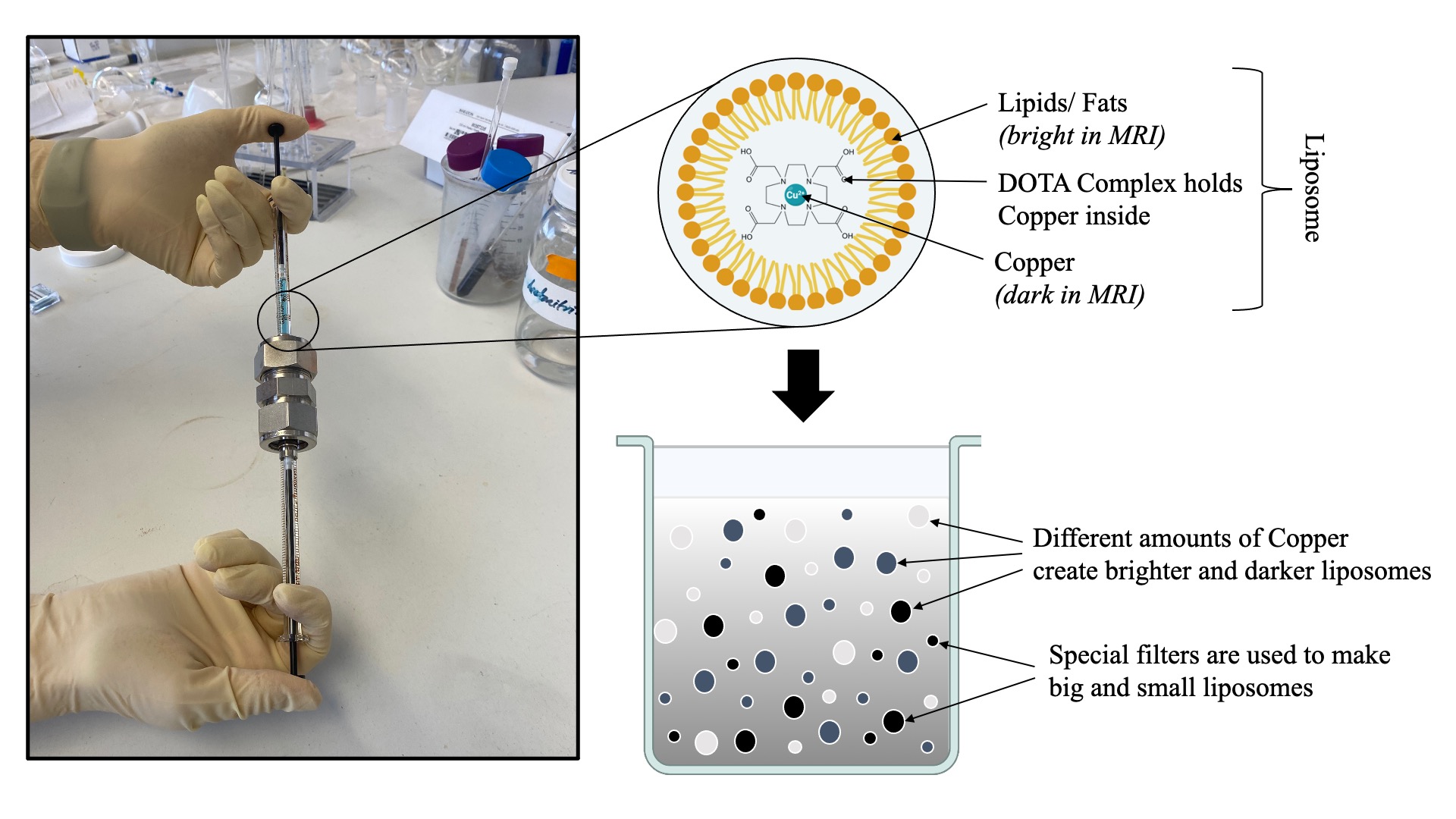 pair of gloved hands on the left inject copper loaded liposomes into a sample chamber, a graphic on the right shows how the copper loaded liposomes are darker in the MRI