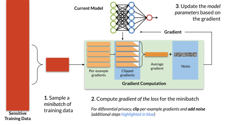 Figure 1: Stochastic Gradient Descent (SGD) and Differentially Private SGD (DP-SGD). To achieve differential privacy, DP-SGD clips and adds noise to the gradients, computed on a per-example basis, before updating the model parameters. Steps required for DP-SGD are highlighted in blue; non-private SGD omits these steps.