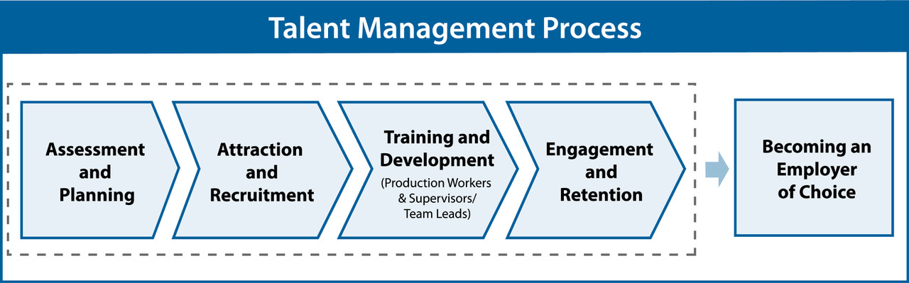 talent management process chart