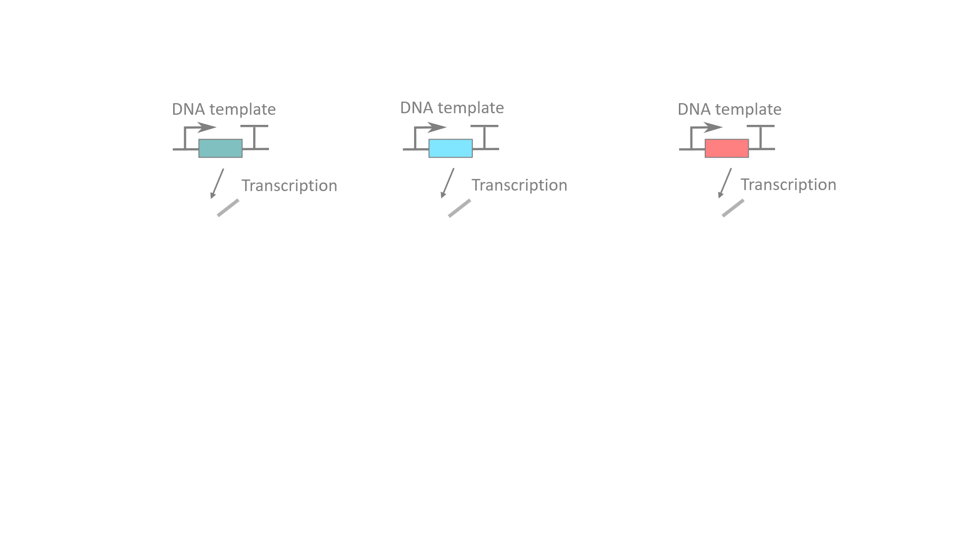 An animated gif shows an RNA input and two RNA circuit gates being produced and interacting.