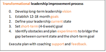 Transformatoinal leadership improvement process