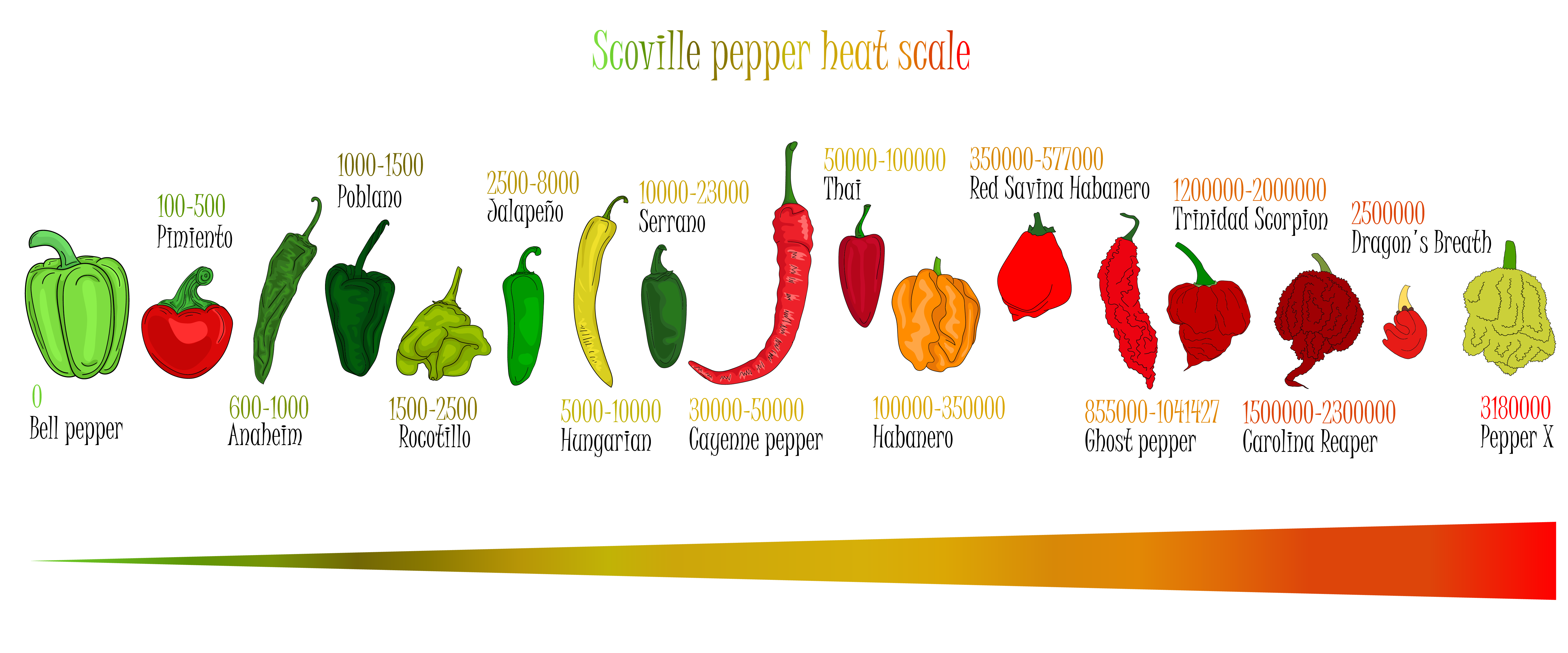 Series of drawings of different peppers showing their Scoville Scale range