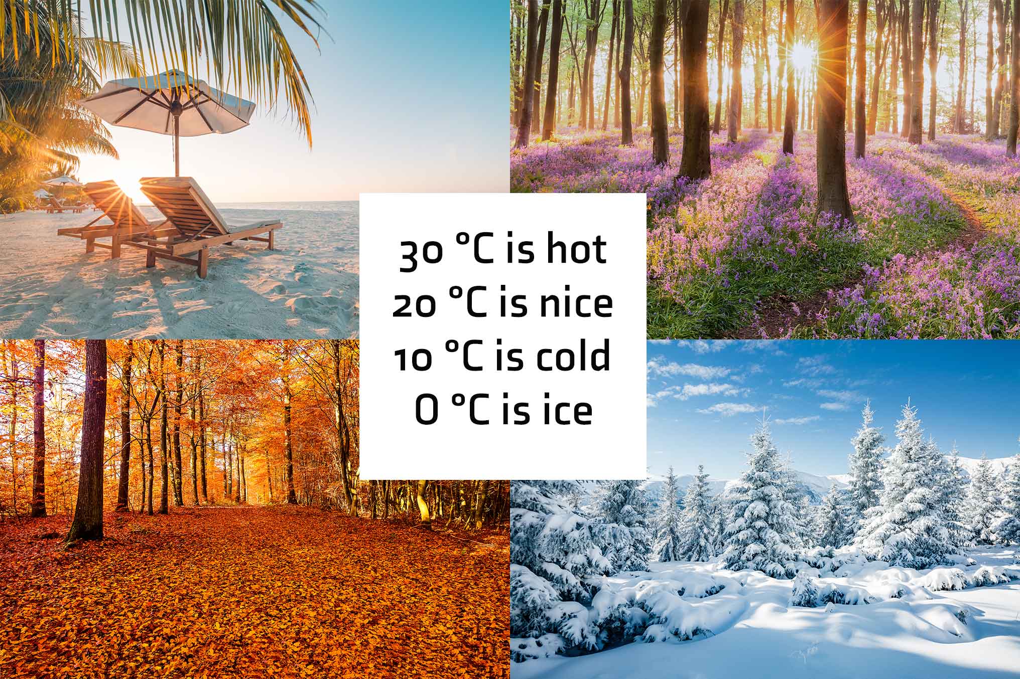 Short poem about Celsius estimates with photo collage of the four seasons. 