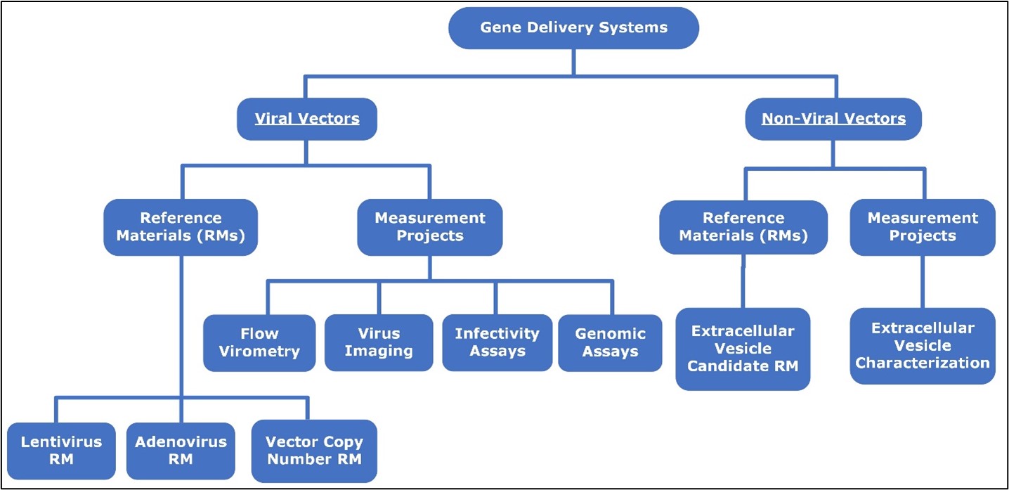 Overview of division gene delivery system research activities