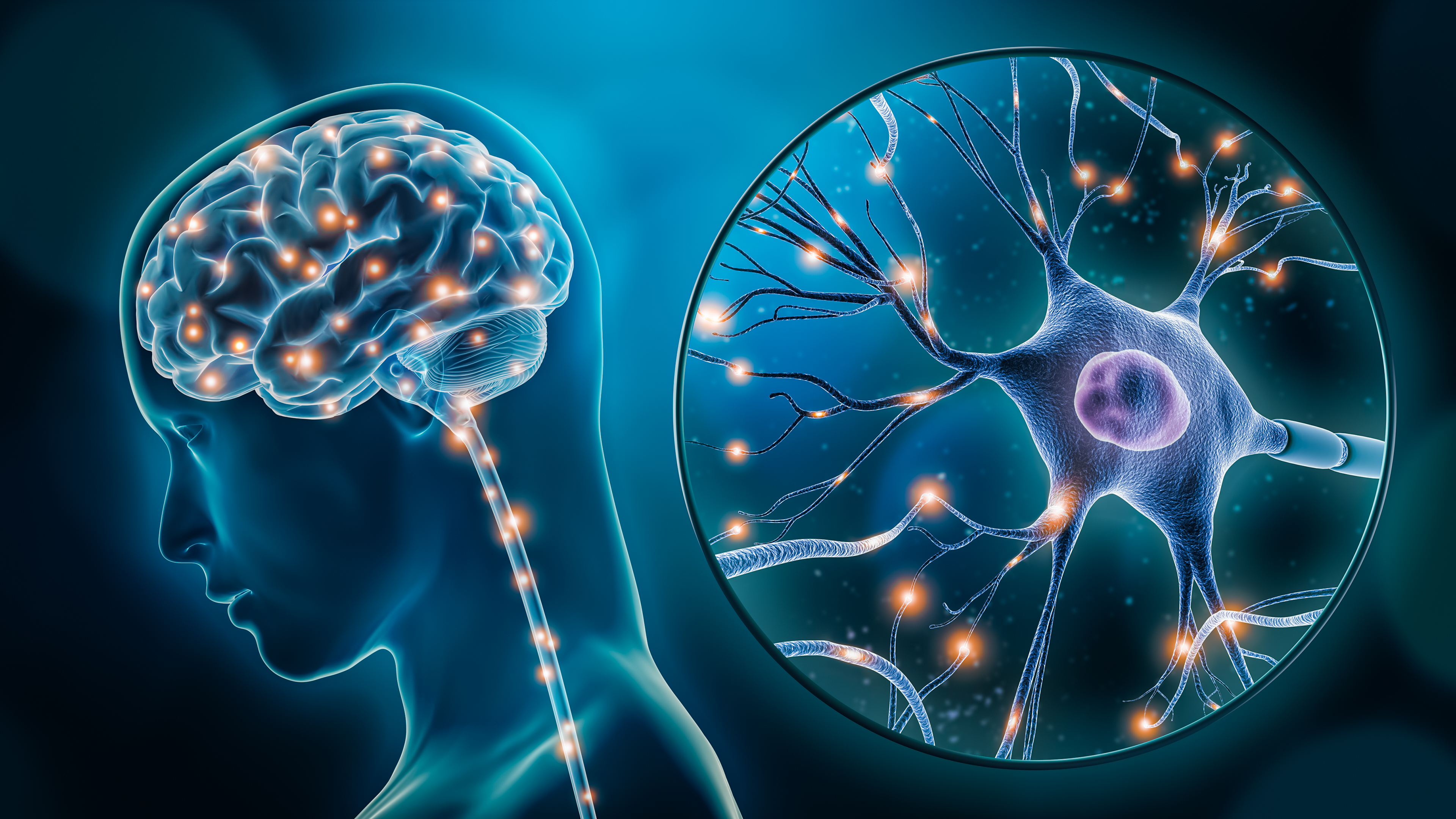 Illustration shows brain inside human head and closeup of neuron with connections and sparks moving along them.