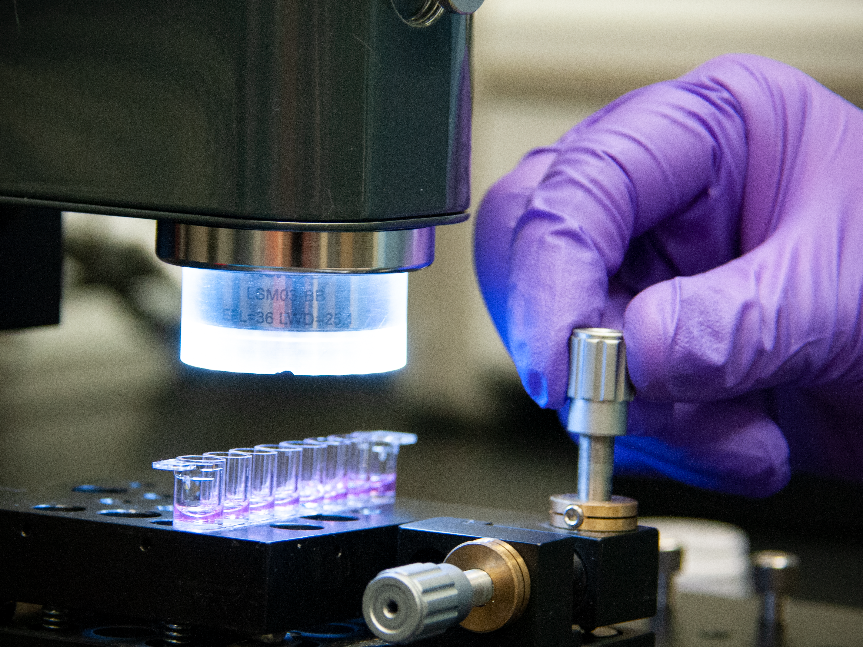 NIST Develops New Nondestructive Method for Assessing Bioengineered Artificial Tissues