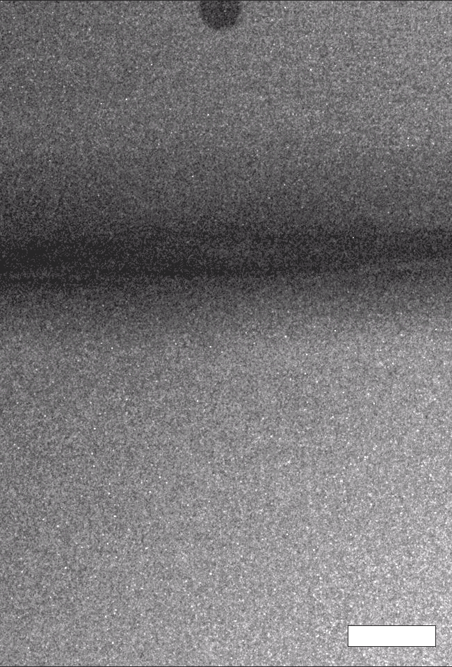 Grainy black and white microscope animation shows a round projectile passing through a thin barrier.