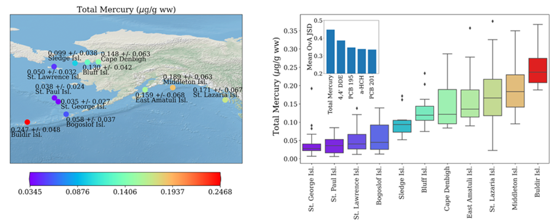 Map and boxplot showing geographic trends in mercury content in murre eggs across Alaskan colonies.