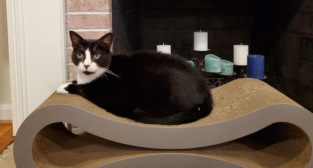 A black and white cat lies on a curved cardboard scratching toy in front of a fireplace. 