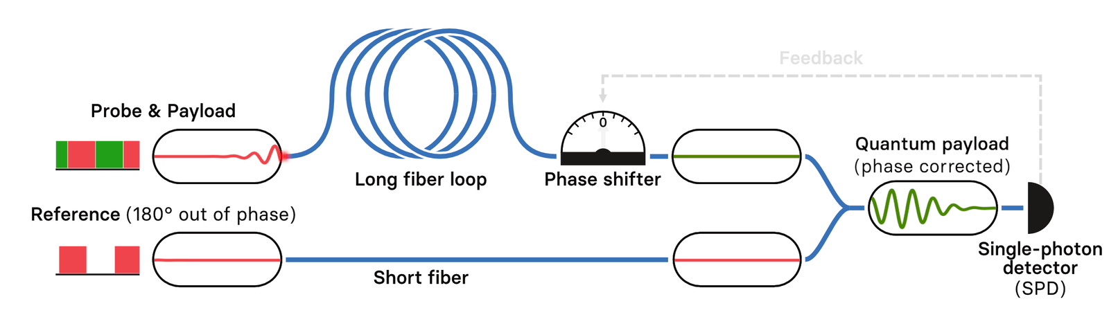 long fiber loop animation