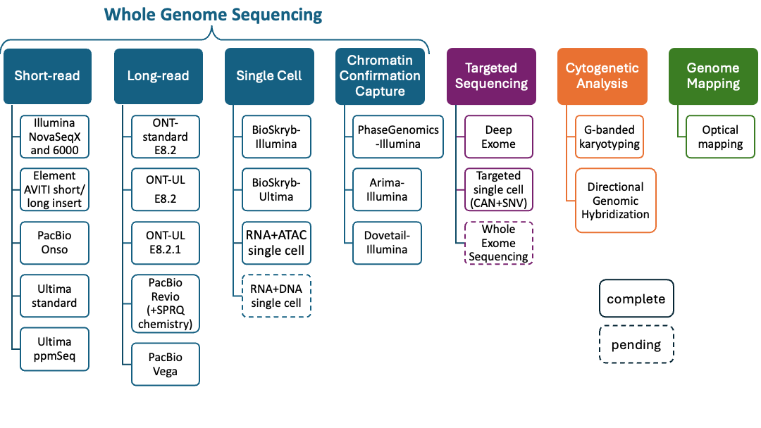 This figure shows the genome-scale measurement technologies being used to characterize the HG008 tumor and normal samples.  Measurements include short and long read sequencing, HiC, single cell sequencing, targeted sequencing, cytogenetic analyses and optical genome mapping.