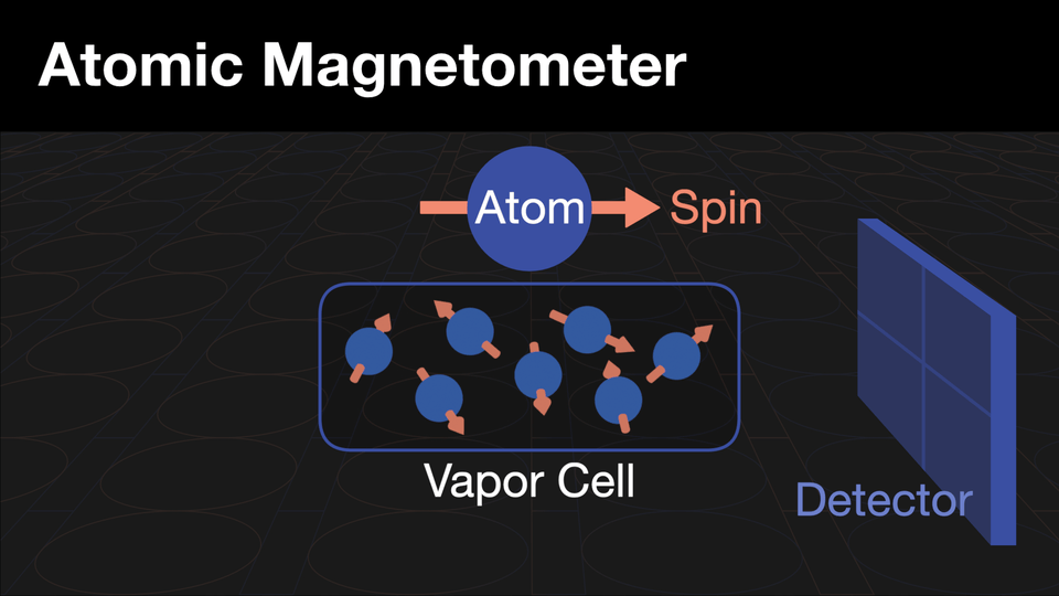 Animated image of atomic magnetometer shows how a laser and a magnetic field can cause atoms' spin to align and turn together. 