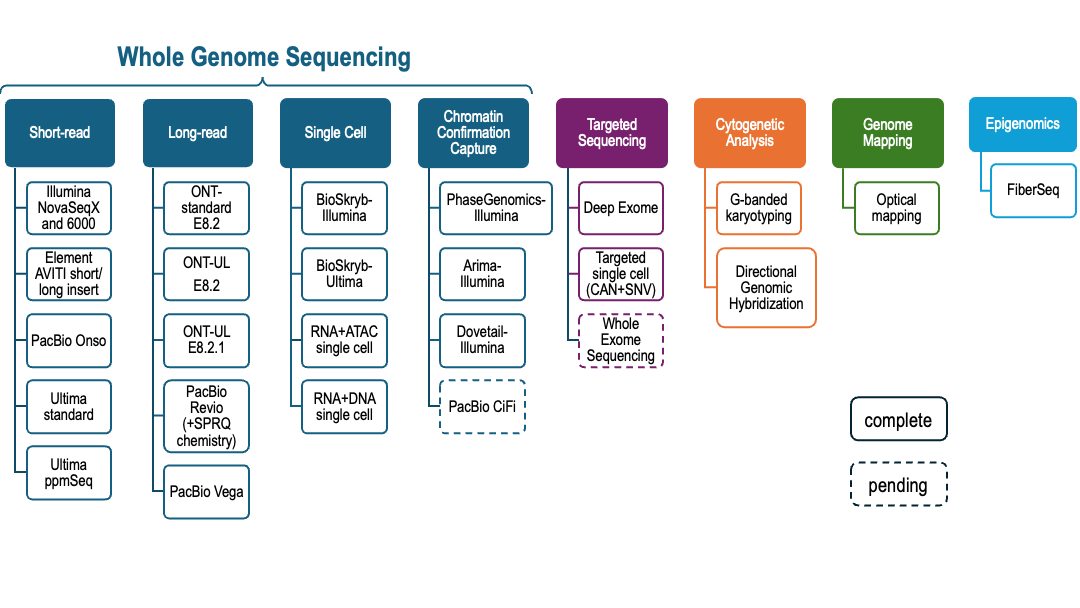 This figure shows the genome-scale measurement technologies being used to characterize the HG008 tumor and normal samples.  Measurements include short and long read sequencing, HiC, single cell sequencing, targeted sequencing, cytogenetic analyses and optical genome mapping.