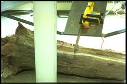 RoboCrane carrying a chainsaw