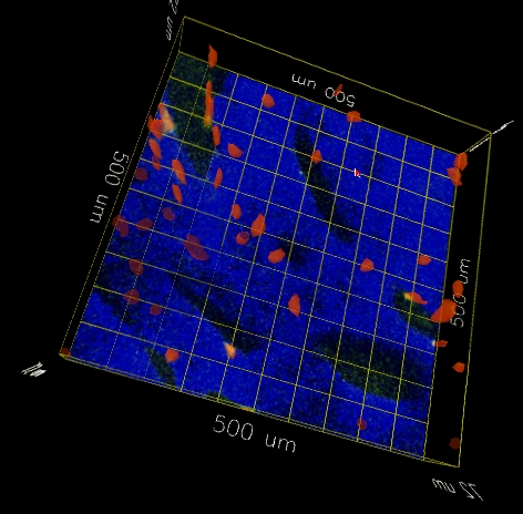 The scene shown in another image with tracker data corrected by our methods.