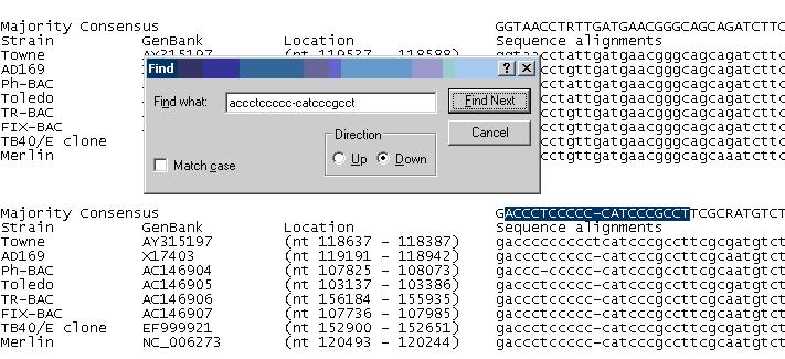 How to use Seq Align