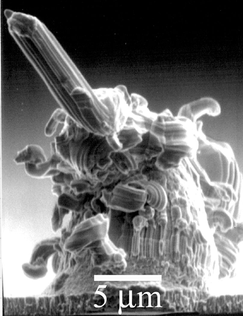 LeadFree Surface Finishes for Electronic Components Tin Whisker