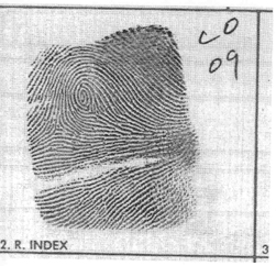 Image of Fingerprint