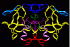 Image of Protease