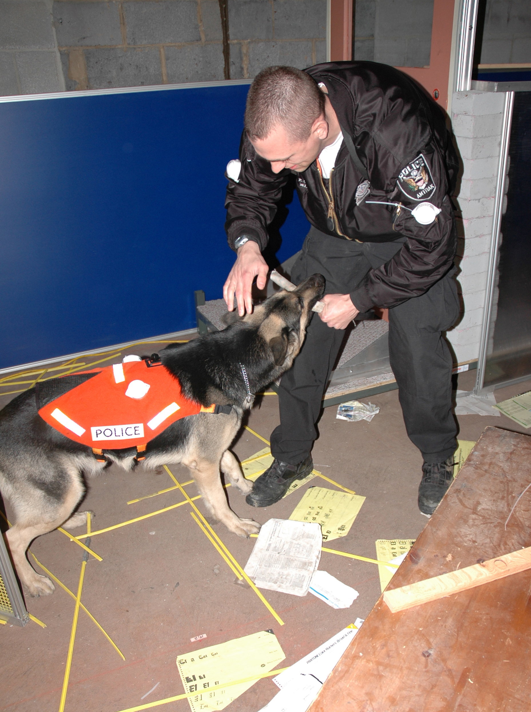 Homeland Security; Emergency Response; Test Arena for Robots and Dogs