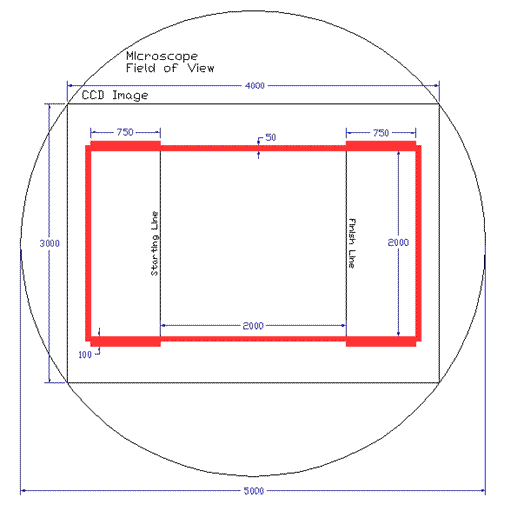 microrobot playing field